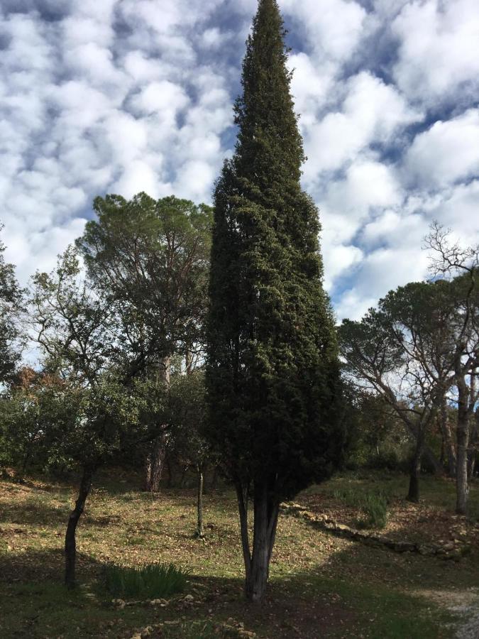 韦尔-加尔桥Les Marguerites住宿加早餐旅馆 外观 照片
