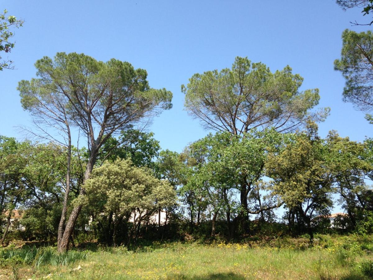 韦尔-加尔桥Les Marguerites住宿加早餐旅馆 外观 照片